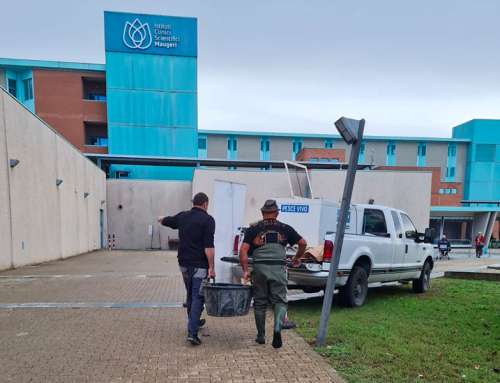 Recupero Trachemys Pavia