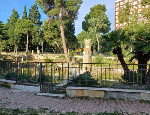 Recupero Trachemys Vasto