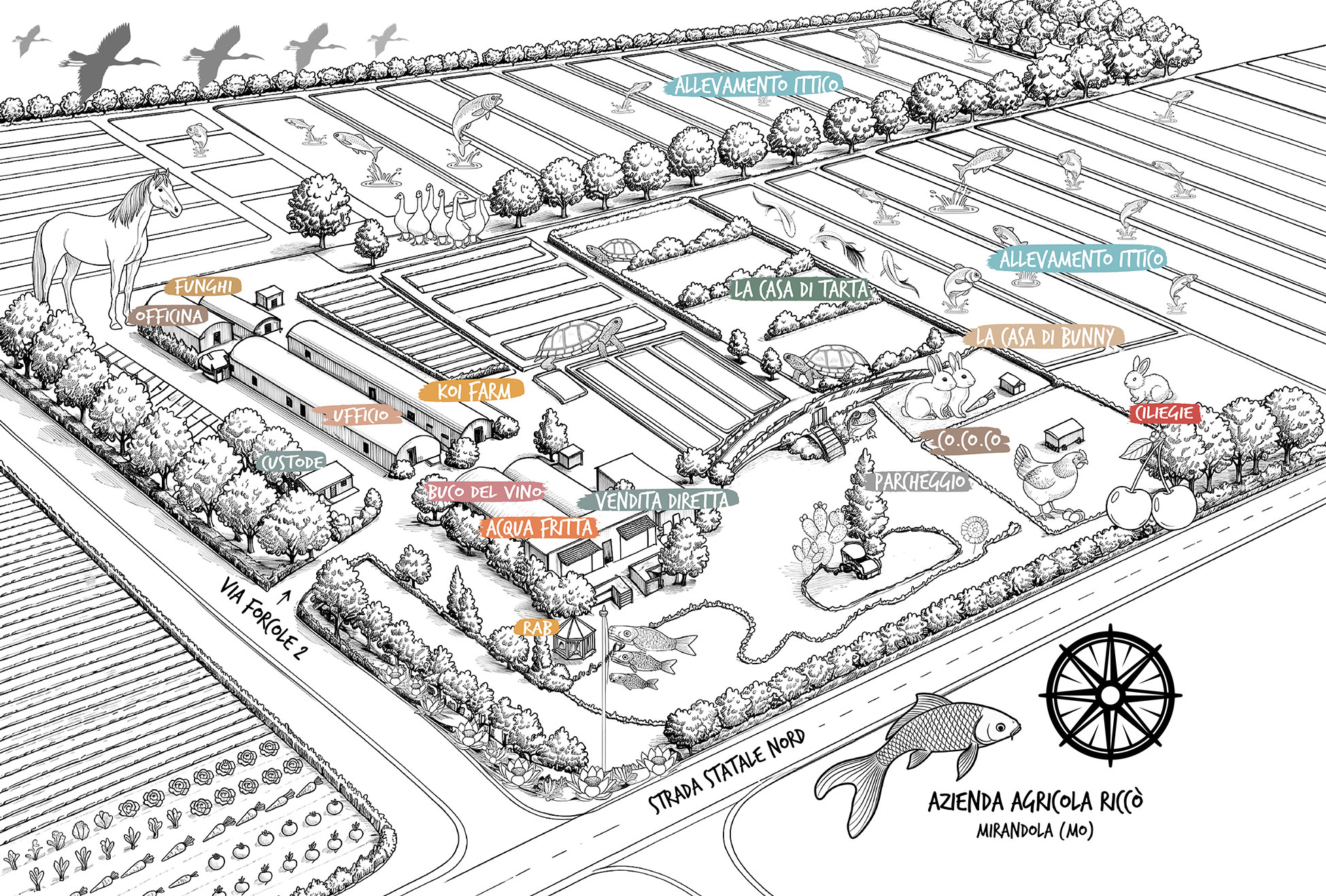 mappa-Azienda-Agricola-Ricco